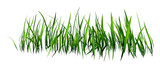 Fototapeta Panele - 3D Rendering Patch of Grass on White