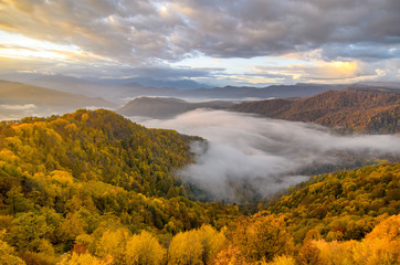 Wall Mural - The mountain autumn landscape with colorful forest. Caucasus mountains in autumn. Russia, Lago Naki.