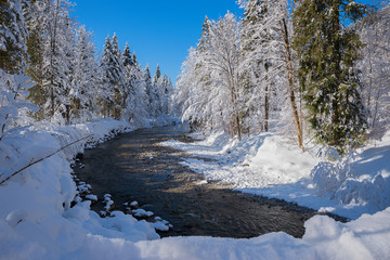 Wall Mural - snowy winter landscape Weissach river near Kreuth, bavarian alps