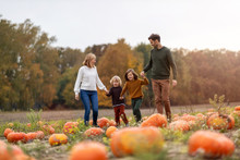 Happy Young Family In Pumpkin Patch Field