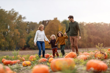 Wall Mural - Happy young family in pumpkin patch field