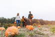 © pikselstock - Happy young family in pumpkin patch field