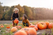Two little boys having fun in a pumpkin patch