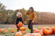© pikselstock - Two little boys having fun in a pumpkin patch
