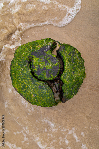 Fotografía Draufansicht eines Holz stumpfes im Sandstrand, Rügen, Deutschland 1