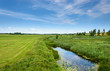 A river, a narrow stream flowing through a field with green grass.