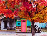 Fototapeta Maki - A colorful little house with a tree in autumn