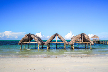 Wall Mural - Beach in Cayo Guillermo de Cuba