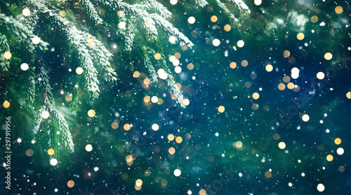 Fotomural Wonderful Christmas Background with fresh fir tree