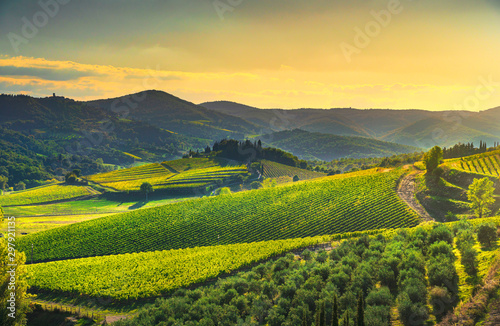 Fotografía Radda in Chianti vineyard and panorama at sunset. Tuscany, Italy