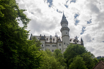 Wall Mural - Castle in the woods