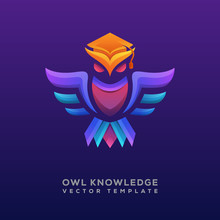 Colorful Owl Knowledge Logo Illustration Premium Vector