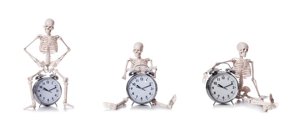 Wall Mural - Skeleton with alarm clock on the white