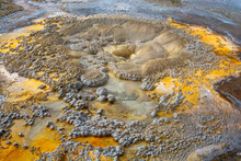 Thermal Activity In The Upper Geyser Basin. Yellowstone National Park, Wyoming