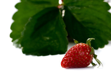 Ripe sweet strawberries