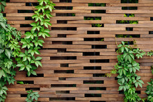 Brown Wooden Background With Foliage