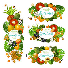 Exotic Tropical Fruits And Leaves Banners