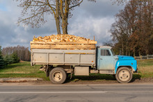Truckload Of Freshly Cut Firewood