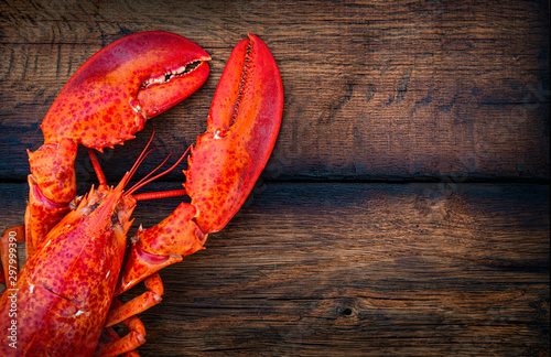 Cuadros en Lienzo Steamed lobster seafood on wood background