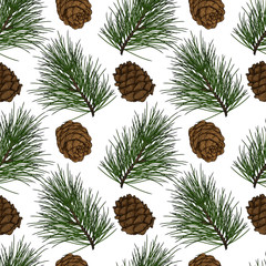 cedar branch with cones seamless pattern. illustration in engraving technique. isolated on white bac