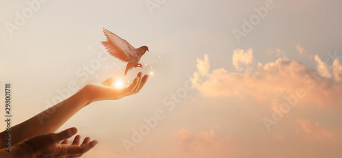 Woman praying and free bird...