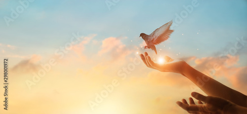 Cuadros en Lienzo Woman praying and free bird enjoying nature on sunset background, hope concept