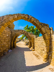 Wall Mural - The covered arcades