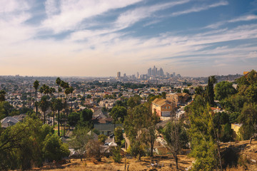 Fototapete - City skyline of Los Angeles in California