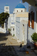 Gepflasterte gemütliche enge kleine Gasse mit Katzen, Kirche und Gebäuden in blau weiß weiss in Griechenland