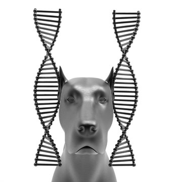 Genetic treatment in veterinary 3d rendering