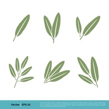 Sage Leaves Icon Vector Logo Template Illustration Design. Vector EPS 10.