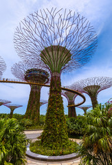 Wall Mural - Park Gardens by the Bay - Singapore