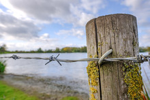 Close-up, Shallow Focus Of Barbed Wire Seen Attached To A Weathered, Wooden Post, Seen At A Nature Reserve Lake. The Lake Contains Many Rare Migratory Birds From The UK And Beyond.