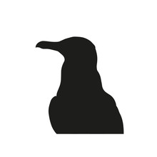 Silhouette Of A Seagull, Vector Image In Flat Style