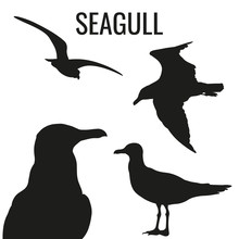 Set Of A Seagulls, Vector Image In Flat Style