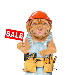 Poster - Smiling puppy worker wearing a hardhat and overalls with tool belt holds sales symbol. Isolated on white background
