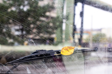 Wall Mural - Windshield wipers from inside of car, season rain.