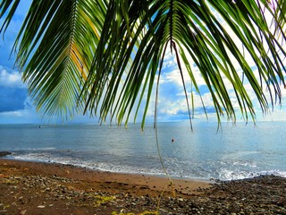 Wall Mural - exploring tropical island of tahiti