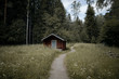 © Fran Mart - old wooden house in the forest