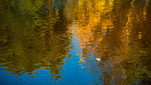 Colorful Autumn Reflection Of Trees In Water