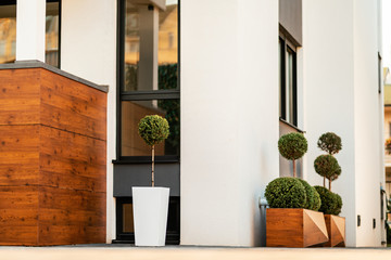 Exterior of modern house with topiary greenery.