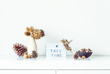 Box With Text FALL TIME, Dried Flowers, Thorns In Light Vase, Pine Cones And Other Natural Decor On White Wall Background. Eco, Simple Home Interior Style. Minimalism. Autumn Concept. Copy Space.