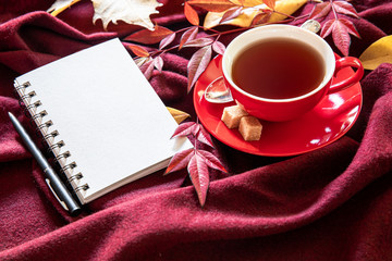 A red cup of black tea next to some dried leaves, notebook and pen on a burgundy cashmere scarf background - autumn seasonal planning concept.