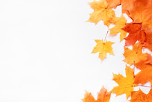 Autumn Nature Background. Orange Leaves Fall On White, Copy Space For Text.