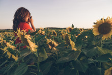 Back View Of Female In Red T Shirt Standing In Middle Of Field With Sunflowers And Photographing Landscape In Sunset