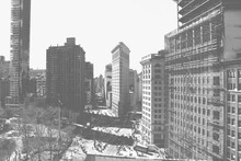 Aerial Black And White Shot Of New York City District With Bare Trees In Cold Season
