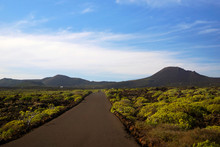 Empty Curving Road Walking To Mountain Valley Along Field With Greenery In Lanzarote Canary Islands Spain