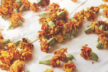 Wall Mural - Dried flowers. Tagetes close up. Background