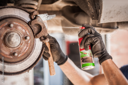 Cuadros en Lienzo Car master mechanic repairer lubricates screws with machine cleaner spray