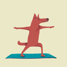 Red Dog Yoga